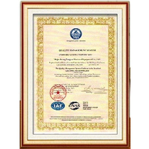 چین Dongguan Zhaoyi Hardware Products Co., LTD. گواهینامه ها